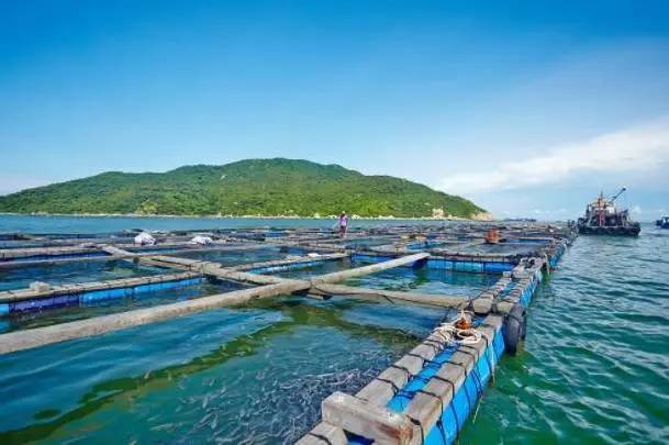 珠海市海淼水產(chǎn)引進我司水產(chǎn)品質量檢測儀
