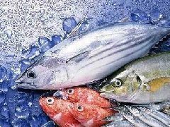 水產品獸藥殘留應該如何整治
